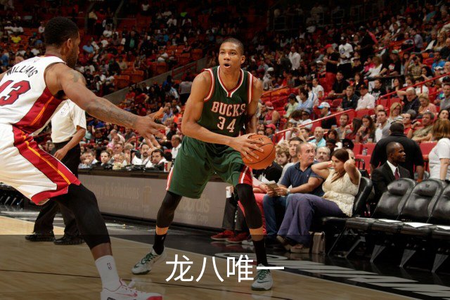 龙八唯一公司简介